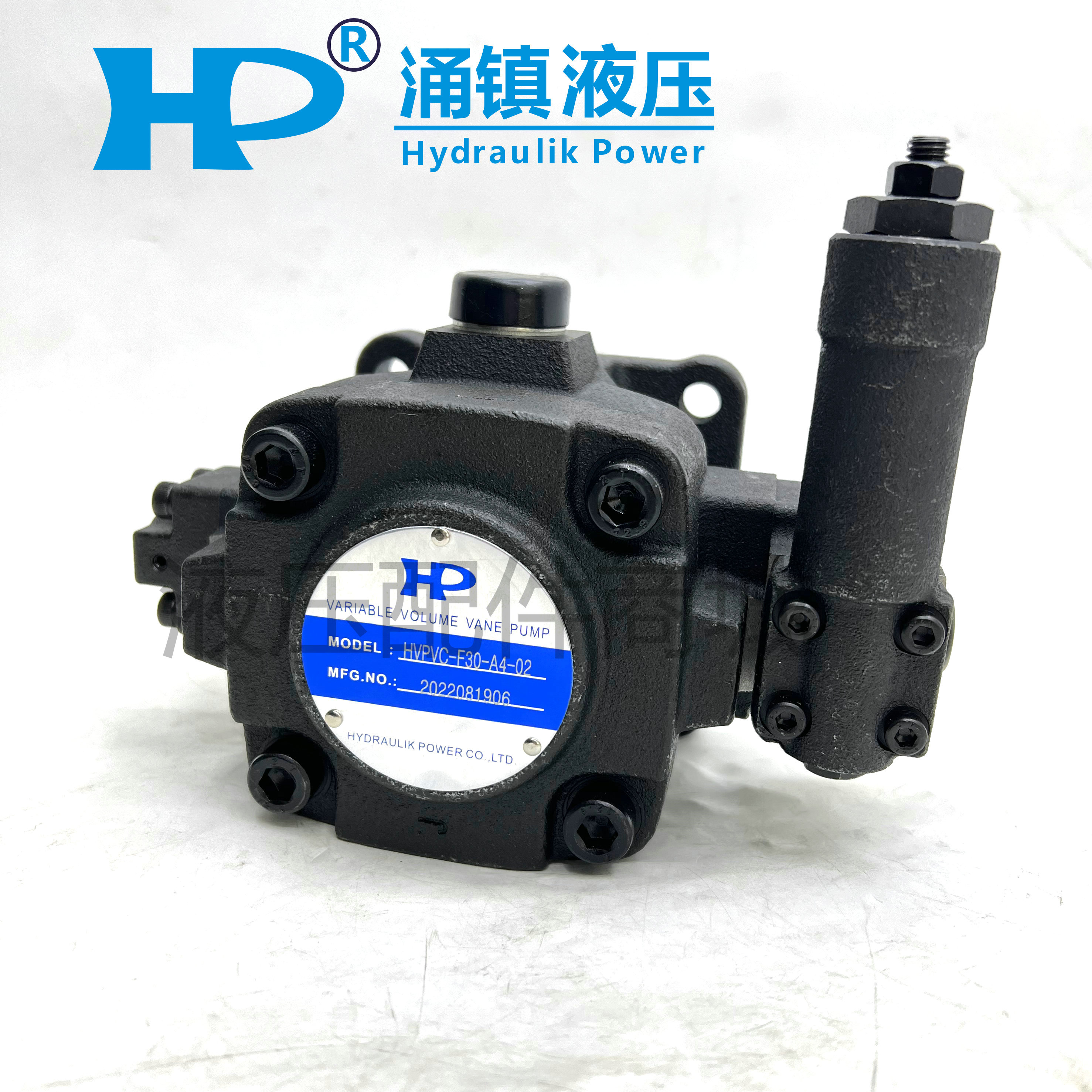 涌镇液压泵变量叶片油头