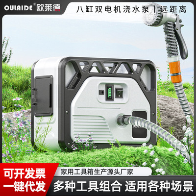 电动浇水泵浇菜机充电式抽水泵家用抽水机浇花浇菜泵农用灌溉神器