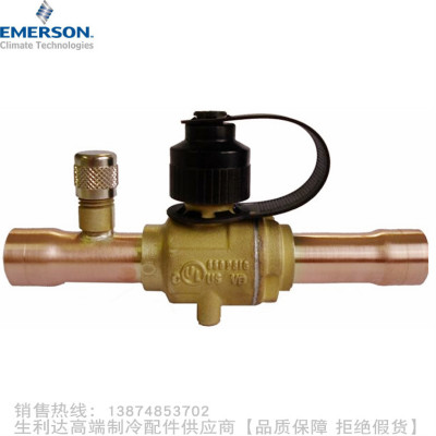 EMERSON/艾默生球阀BVS-014 038 058 034 078 138 158 218 258