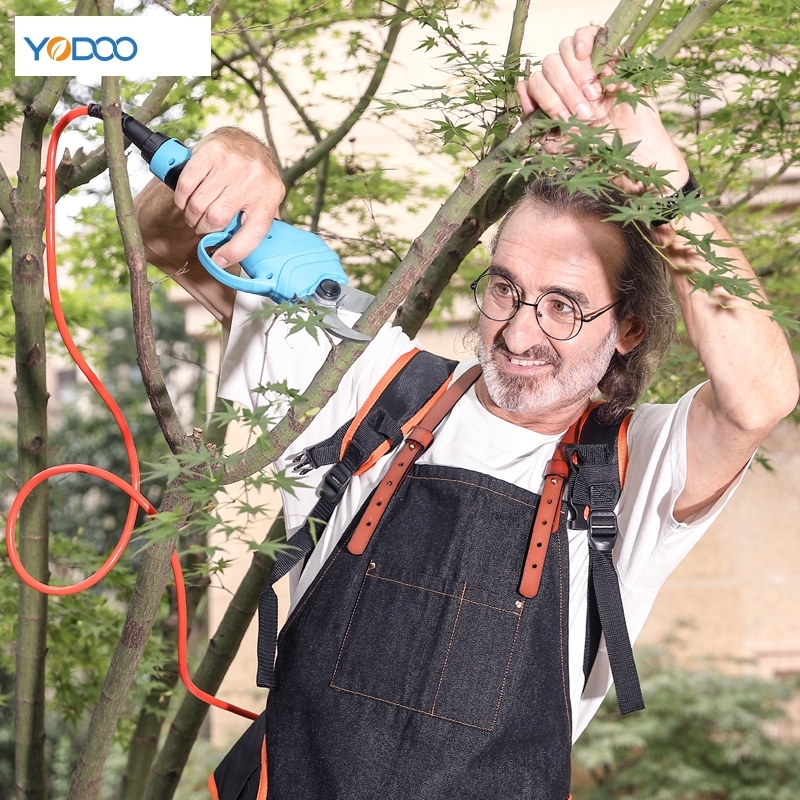 德国进口锂电修枝剪动高