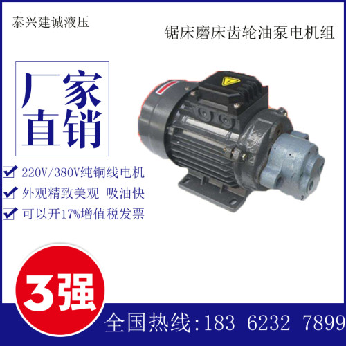 380V电压220V CB-B2.5JZ-B4JZ-B6JZ-B10JZ直插式齿轮油泵电机组1