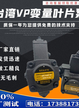 代替弋力VPE-F12D/F15D/F20D/F30D/F40D/F45D-10台湾凯利通叶片泵