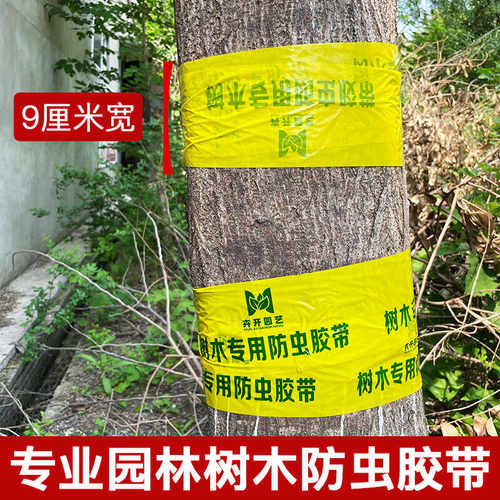 防虫胶带果树粘虫带园林苗木诱虫双面胶带黄色大树粘胶驱虫除虫带