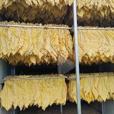 烤烟夹子梳式操作台不锈
