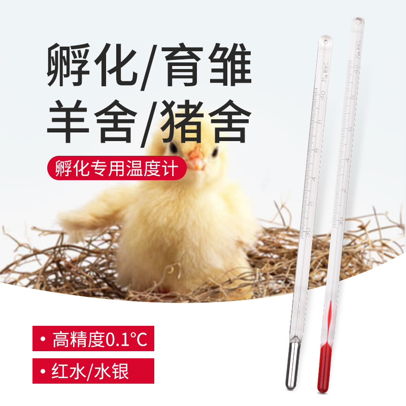 红水银孵化温度计精机专