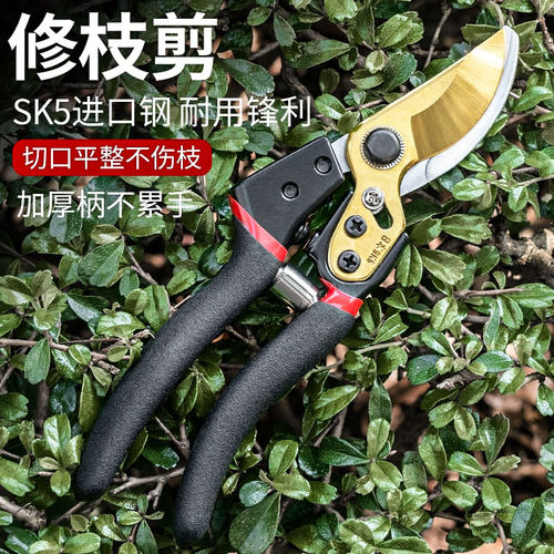 进口修枝剪园艺刀专用镰