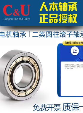 人本二类圆柱滚子轴承NU314 315 316 317 318 319 320 321 322EM