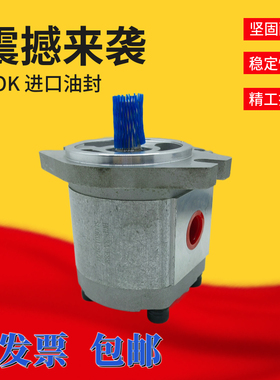 液压齿轮泵HGP-3A-F6R HGP-3AF8 10 11 14 17 19 23 25 28 30R-2B