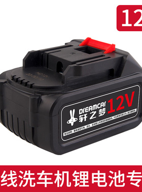 进口锂电池专拍链接锂电洗车专用48VF24VF12VF
