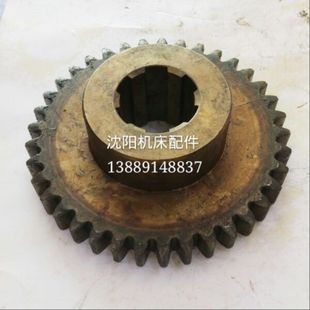 齿轮 341 Z37 机床配件 铣床配件 上海机床X53T