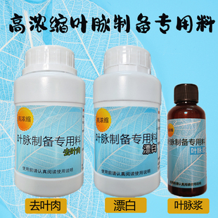 叶脉书签制作材料去叶肉叶脉上浆DIY材料树叶画书签班级社团活动