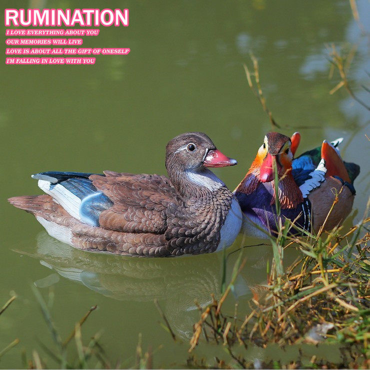 户外水池塘花园假山装饰婚庆道具仿真动物鸳鸯树脂摆件工艺品结婚