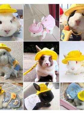 宠物兔子衣服饰品荷兰猪