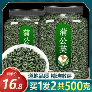 长白山蒲公英叶茶正品纯