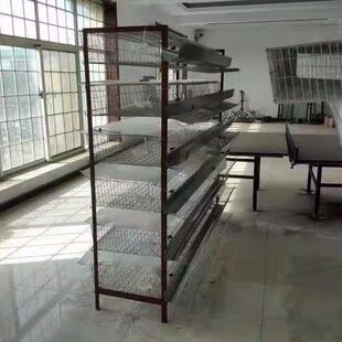 鹌鹑笼养殖笼立式阶梯鹌鹑笼自动滚蛋家用鹧鸪养殖笼