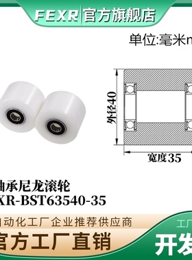 双轴承BST63540-35加宽POM滚轮塑料胶套尼龙包塑加厚输送带滑轮