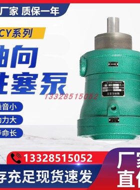 新款上海启高轴向柱塞油泵10MCY14-1B 25YCY 5 40 63 80 32PC包邮