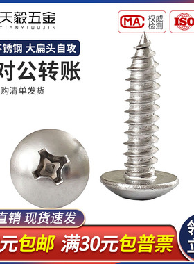 304不锈钢大扁头自攻螺丝十字蘑菇头自攻钉伞头木螺钉M3M4M5M6mm