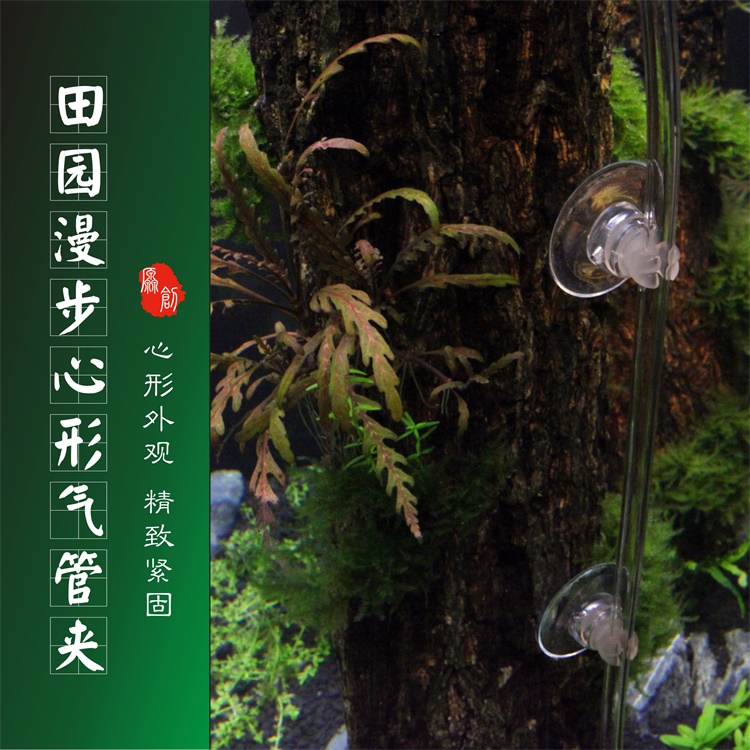 田园漫步心形气管夹固定