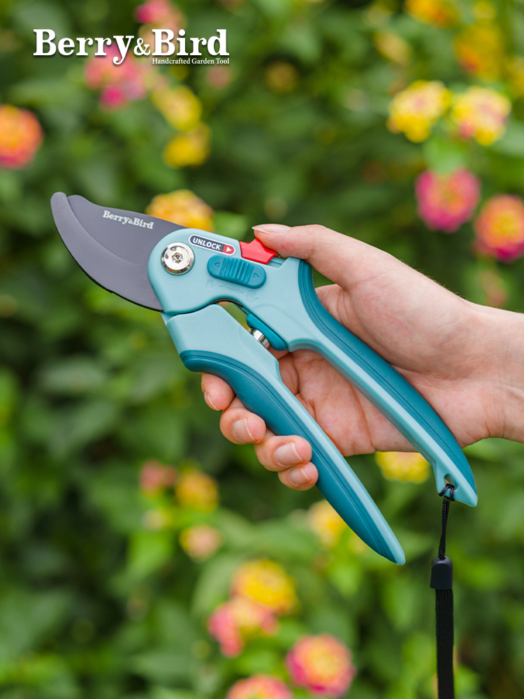 Berry&Bird园艺修枝剪刀园林果树花枝粗枝盆景造型专用修剪工具