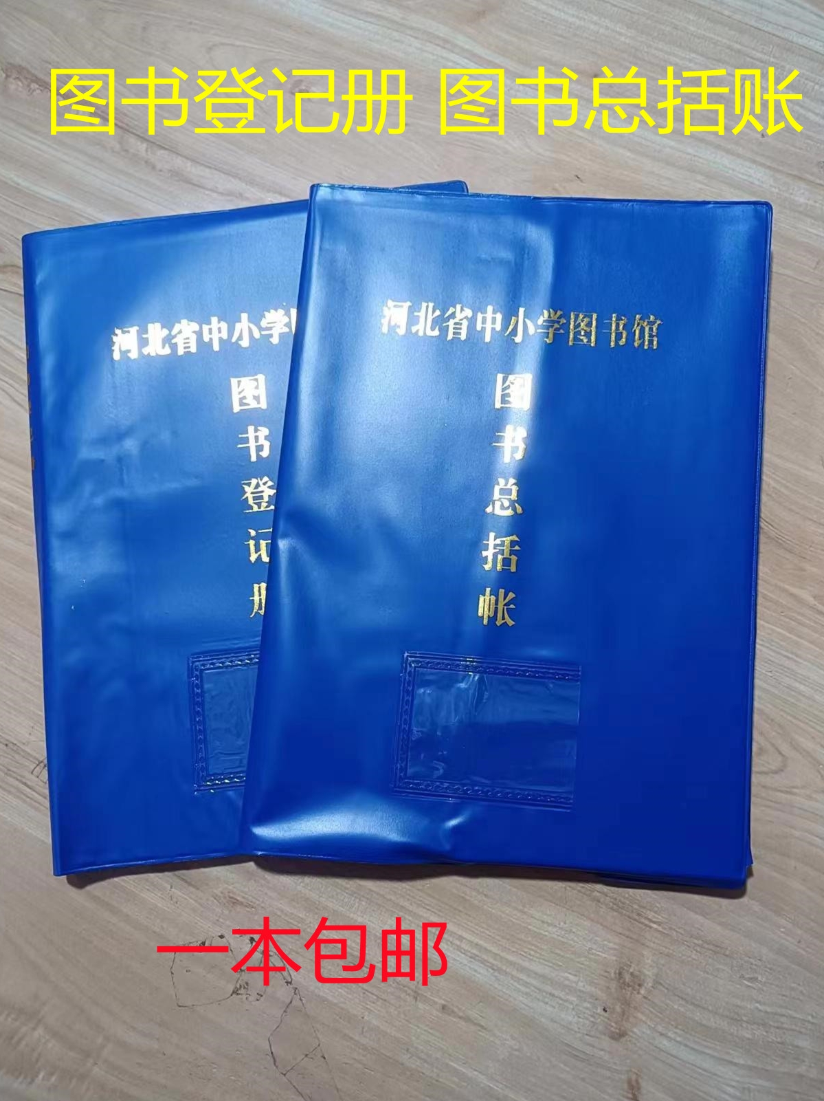 图书登记册账 图书总括账明细分类教学仪器标签中小学图书记账本