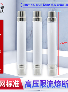 高压熔断器XRNT10-12KV50A63A80A100A125A高分断限流熔断管保险丝