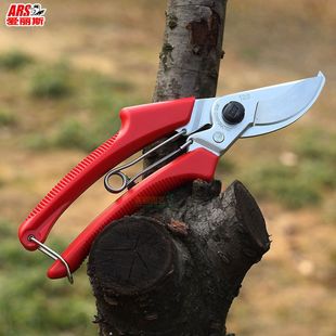日本进口修枝剪爱丽斯ARS 果树整枝剪 120DX 园林园艺剪刀手剪正品
