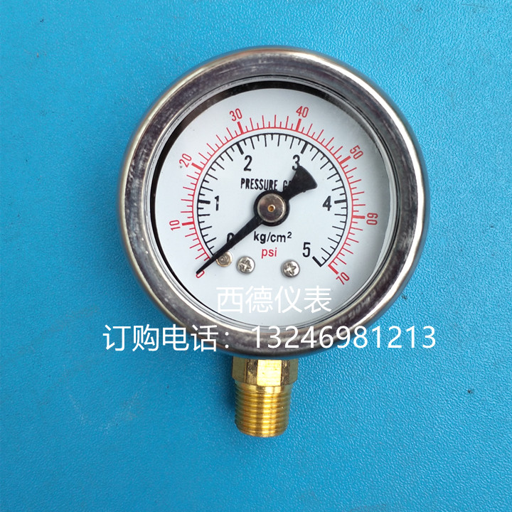 径向充油耐震压力表水气