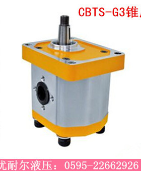 SR齿轮油泵CBTS-G3锥度 排量G314 排量G317 排量G319 排量G323