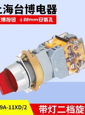 天博LAY39A-11XD/2带灯短柄自锁按钮开关AC110V220V380V二档22mm