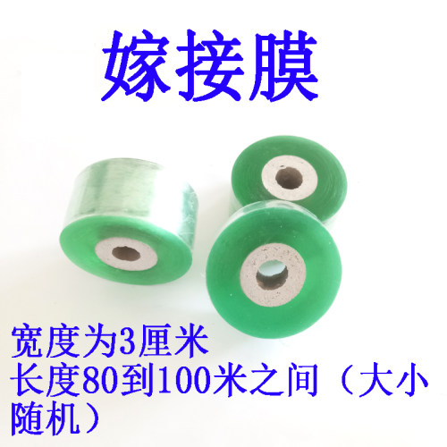 嫁接膜专用膜嫁接绑带果树苗木包扎带 胶带无需打结自粘性缠绕膜