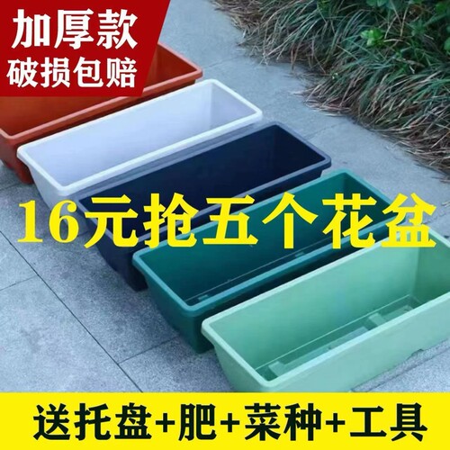 阳台室内种植箱长条大方型条形花盆韭菜大号塑料加厚款香菜盆菜园