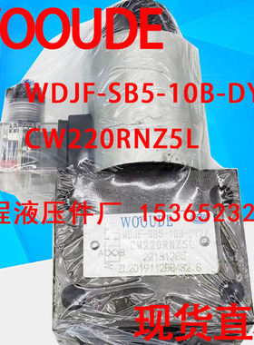 WDJF-SB5-10B-DY/ CW220RNZ5L WOOUDE 卸荷阀 电磁换向阀 油压阀