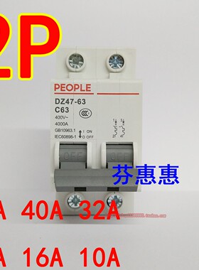 人民电器2P 63A断路器空开  2P 40A32A 25A120A16A双进双出开关