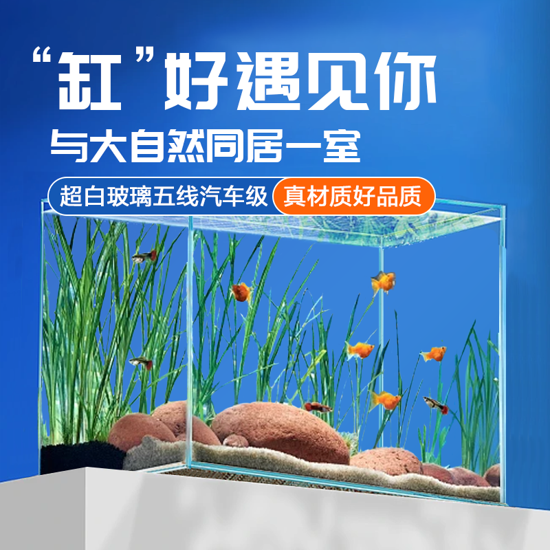 超白草缸鱼客厅小型裸造