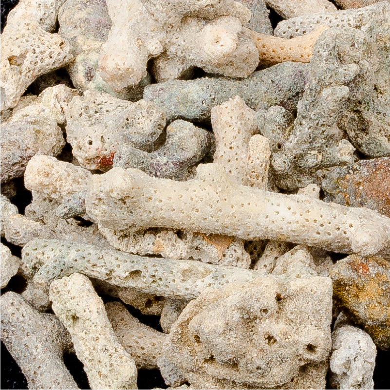 包邮水族箱鱼缸滤材过滤材料优质珊瑚砂珊瑚石珊瑚骨珊瑚沙500g