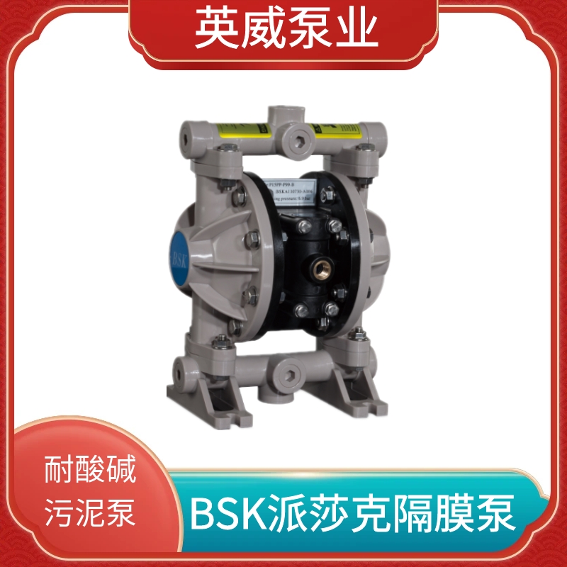 美国原装BSK气动隔膜泵BP15PP-P991/PTT4/PBB1-B耐酸碱塑料泵BP06