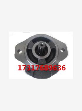 新款原装钰盟齿轮泵1AG1P01R/1GG1P01R/02R/03R/04R/05R/06R/包邮