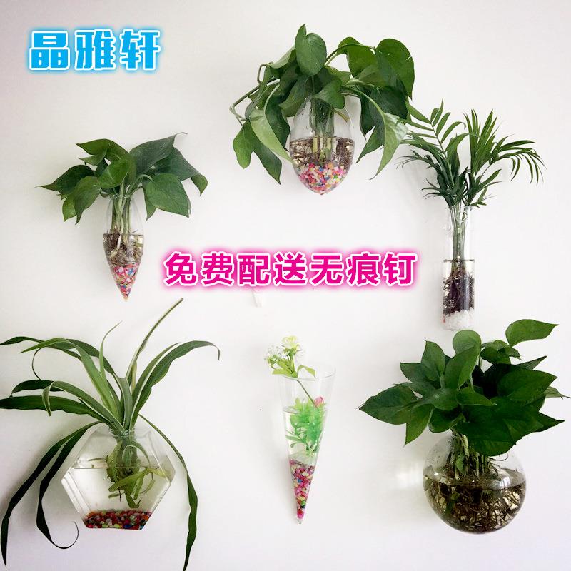 创意悬挂玻璃花瓶鱼缸吊瓶壁挂绿萝水培植物玻璃瓶家居装饰品挂件