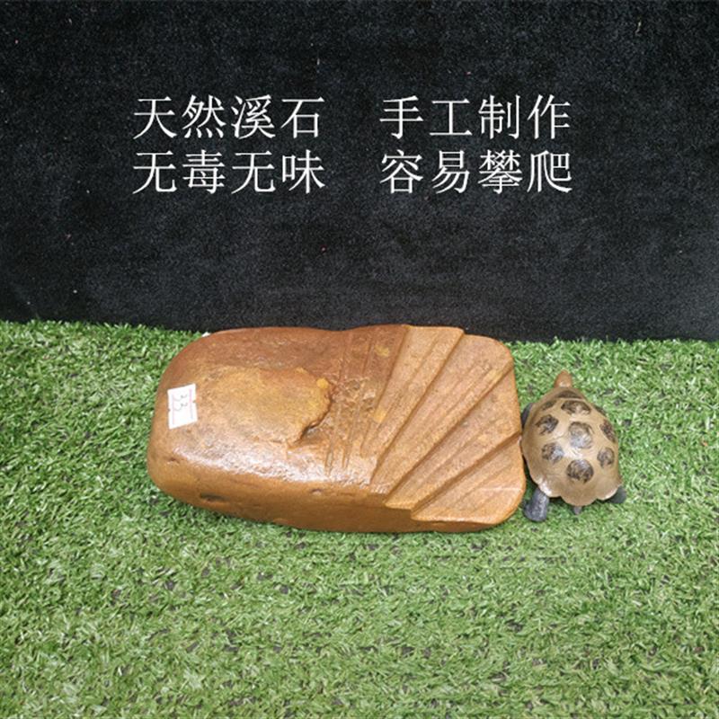 乌龟晒台天然石头爬宠背