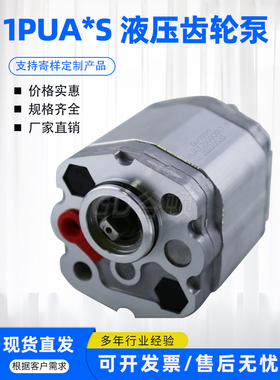 液压齿轮泵1PUA3.2SG0Q0L1-B/1PUA2.1SG0Q0L1-B/A4.8S/A5.8S油泵