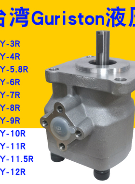 GPY齿轮泵GPY-3R/4R/5.8R/6R/7R/8R/9R/10R/11R/11.5R/12R-4B油泵