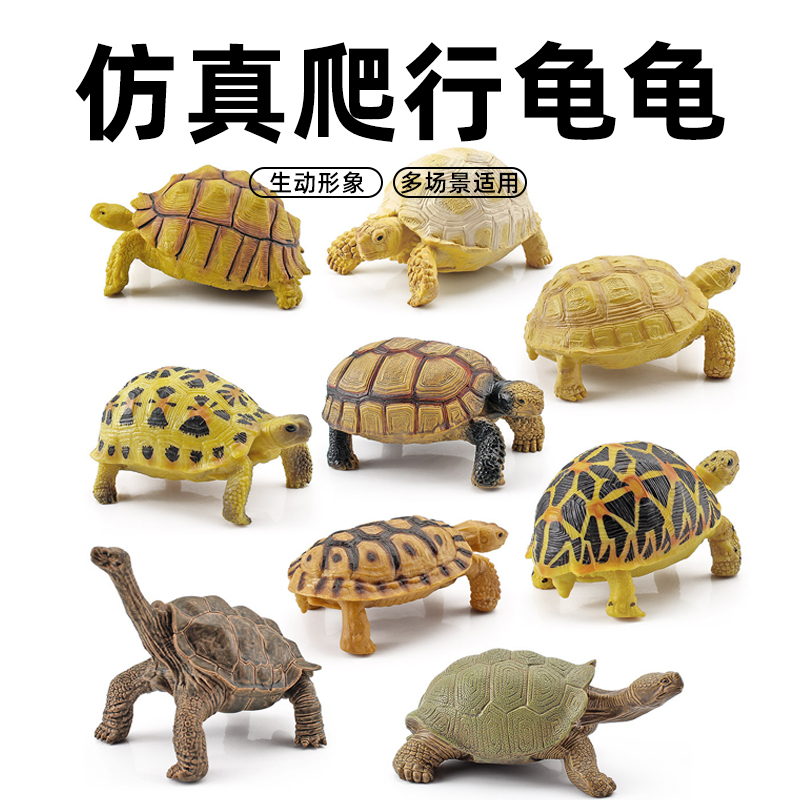 鱼缸仿真两栖爬行动物模