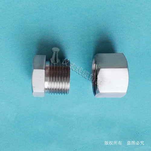 不锈钢压力表接头仪转换
