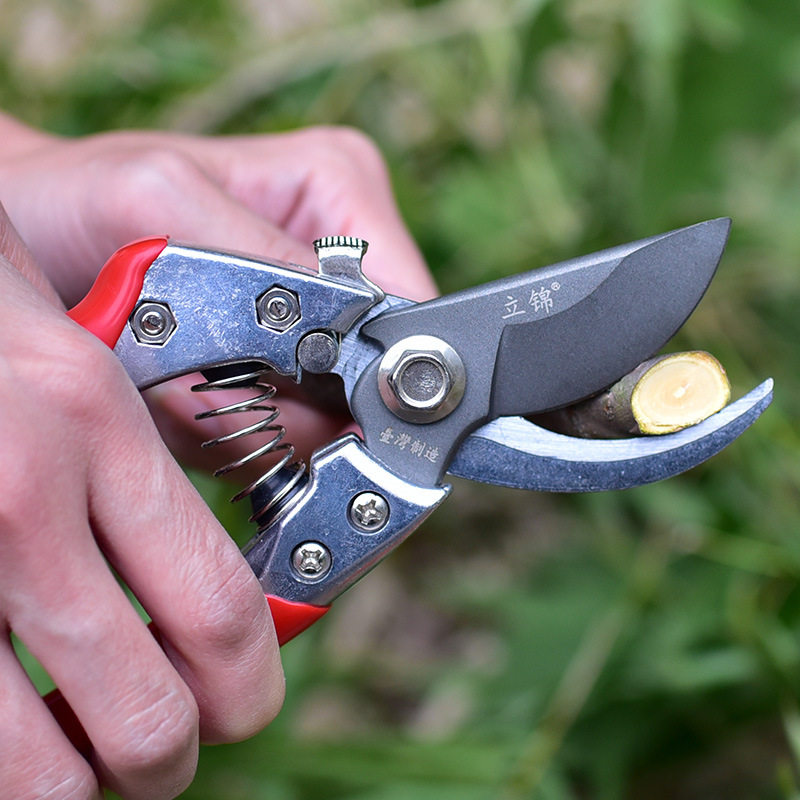 台湾进口SK5钢修枝剪园林果树剪刀粗枝花剪省力树枝修花园艺剪刀,ZIPPO/瑞士军刀/眼镜,酒具,淘宝优惠券,粉丝福利购,淘宝优惠卷