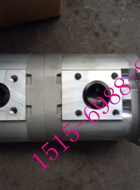 SY合肥赛源油泵CBQLAD-F550/F525-AFΦL双联齿轮油泵合肥赛源