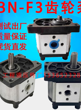 齿轮油泵 CBN-F306 CBN-E310 F316 F314 E320 F325 E308 F304 312