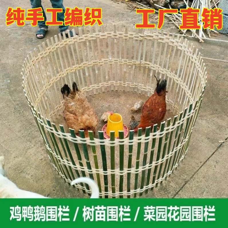 竹编鸡围栏网挡墙篱笆鸭