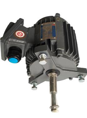 新款LIANG CHI电机AEVP/AEEF80M-4 0.37KW/0.75KW1.5KW/2.2KW包邮