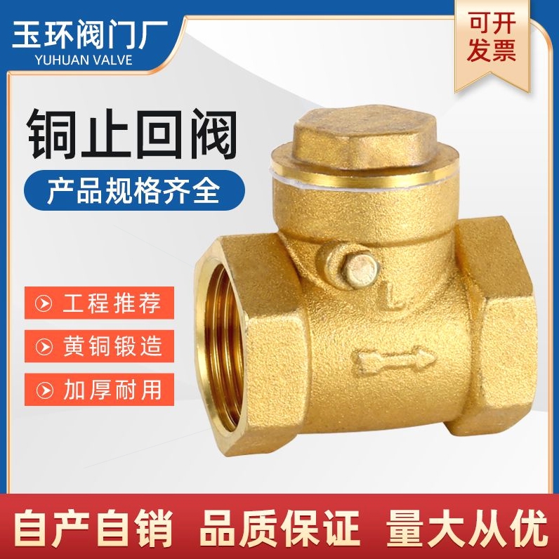 德国进口全铜止回阀卧式